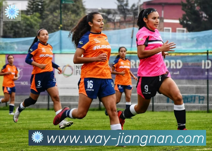 江南体育APP 封面图