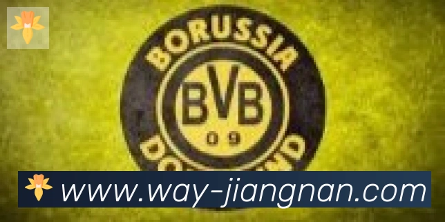 江南体育合作伙伴